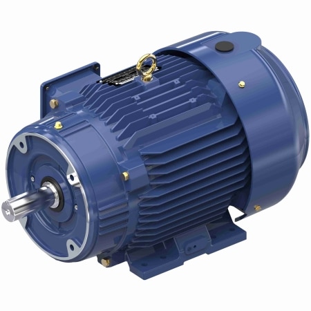 Inverter (Vector) Duty Motor