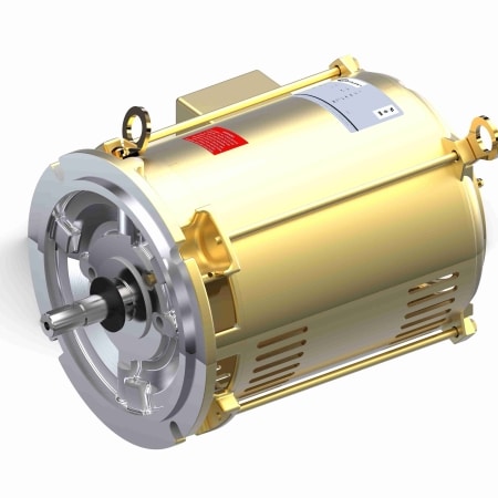 Pool Pump Motor, 15 HP, 3 Ph, 50 Hz, 220/440 V, 3000 RPM, 215TDZ Frame, DP