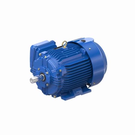 Severe Duty Motor, 7.50 HP, 3 Ph, 60 Hz, 230/460 V, 1800 RPM, 213T Frame, TEFC
